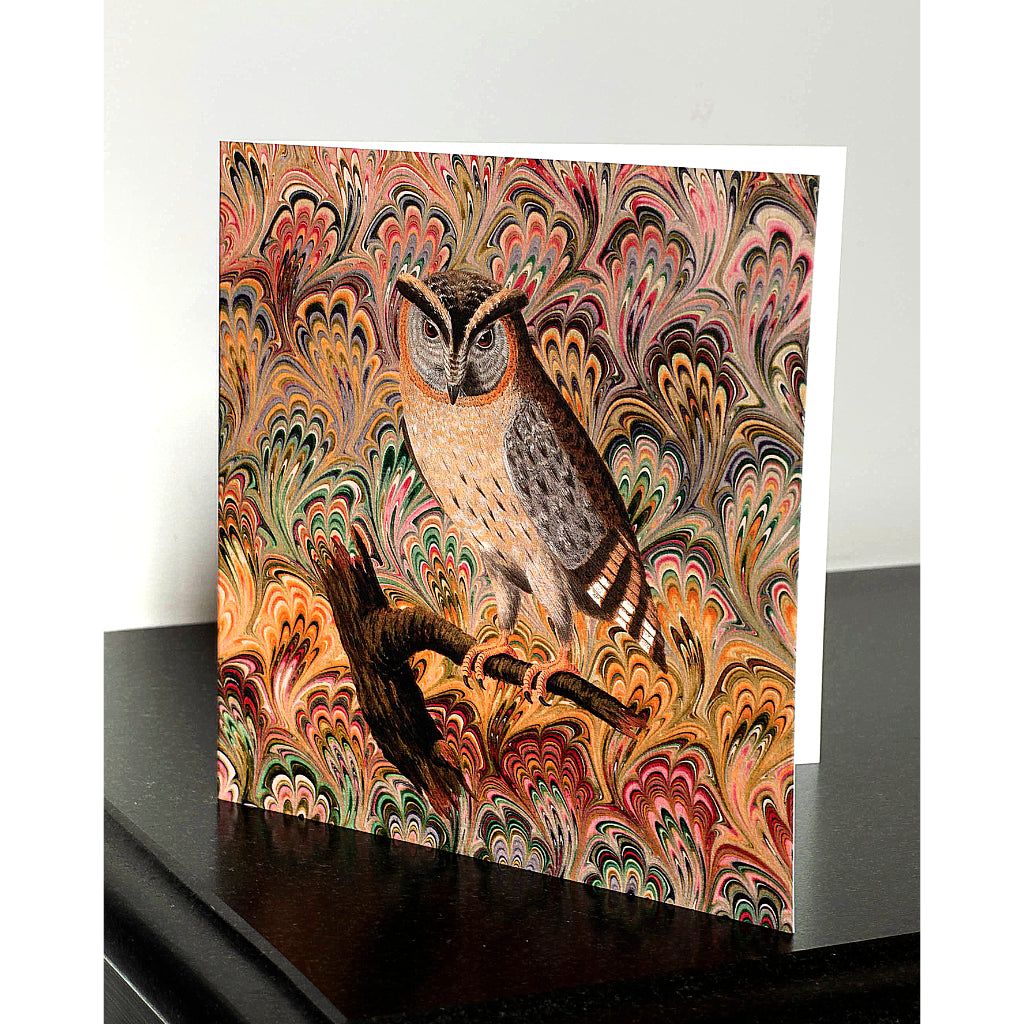 Pack of 4 Scops Owl Greetings Cards