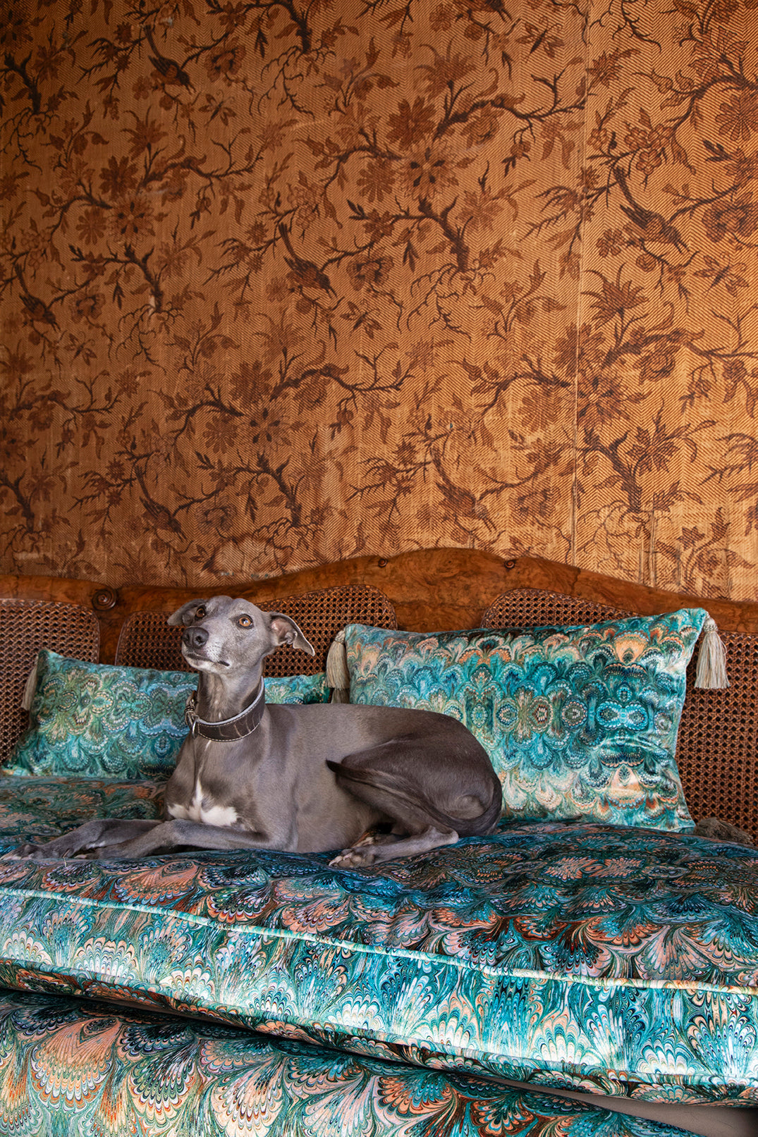 The Perennial Appeal of Velvet Upholstery Fabric: A Guide | Susi Bellamy