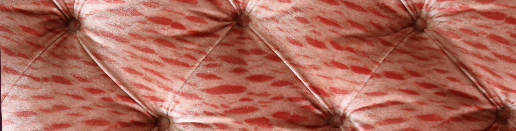 Luxurious Furniture Upholstered in Susi Bellamy Fabrics