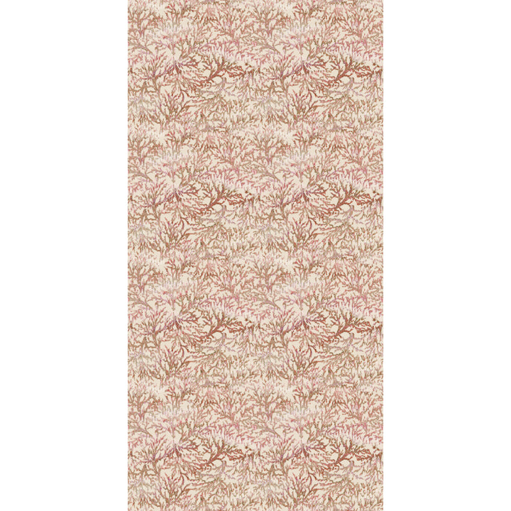Pale pink and cream coral print wallpaper on a white background