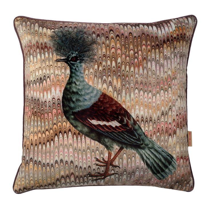 Maize Plumes Crowned Pigeon Velvet Square Cushion
