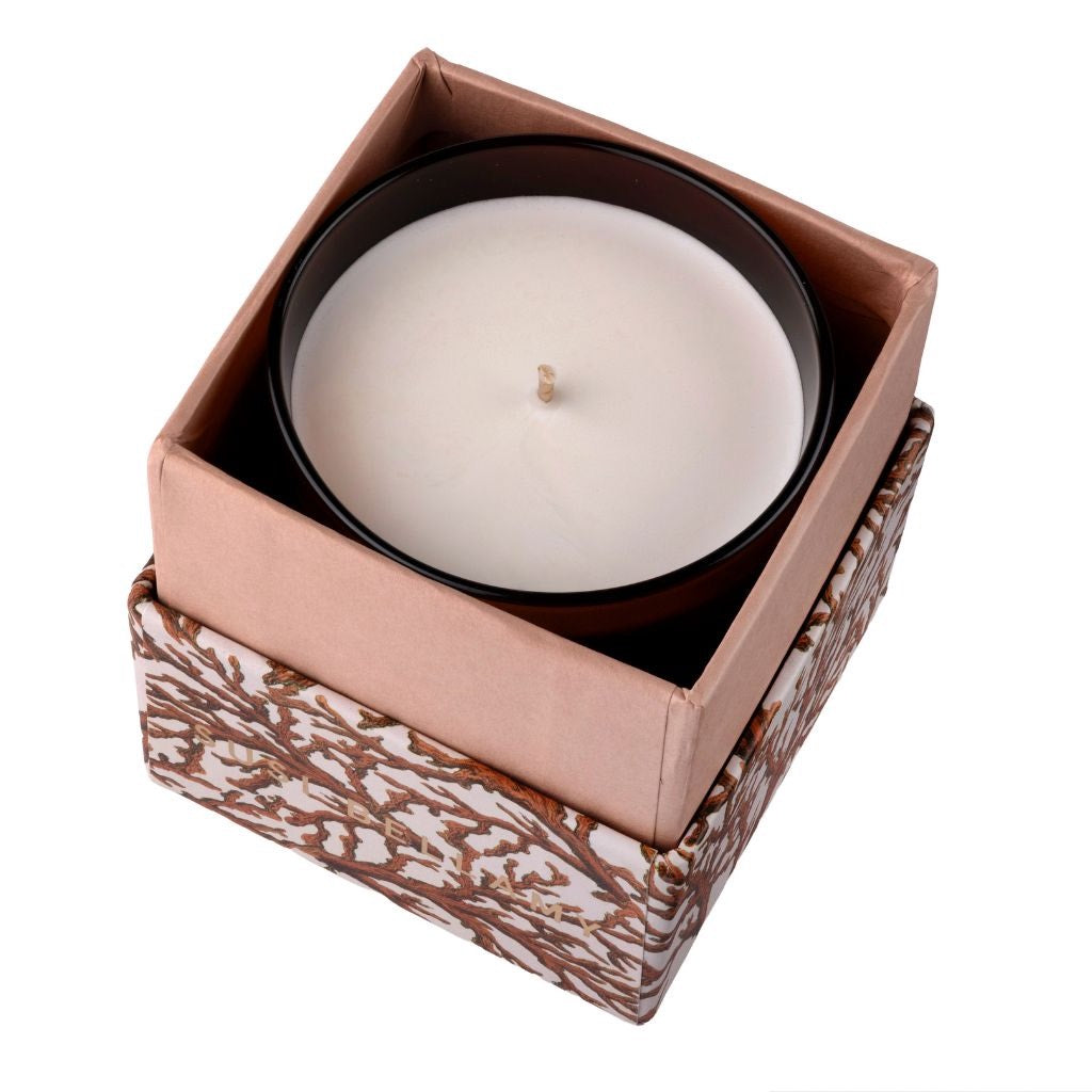 Amber Coral Candle