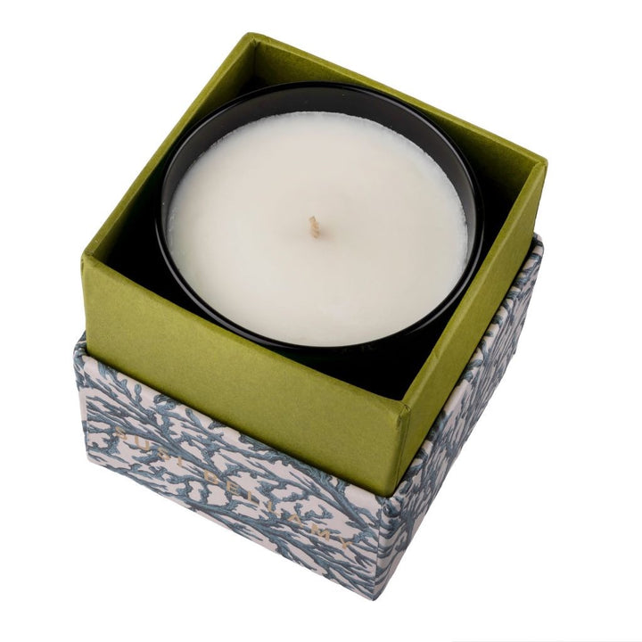 Blue Coral Candle