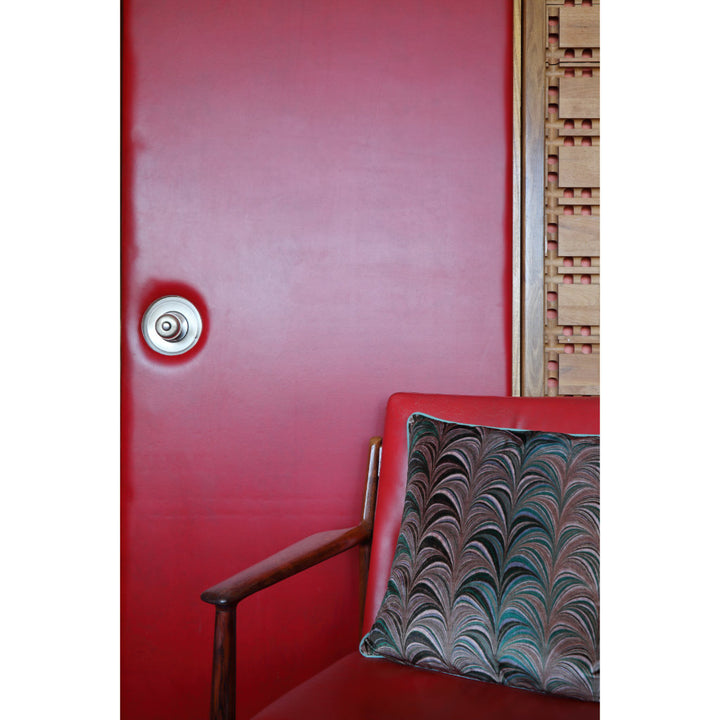 red door with jade olive velvet cushion