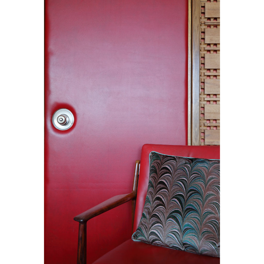 red door with jade olive velvet cushion