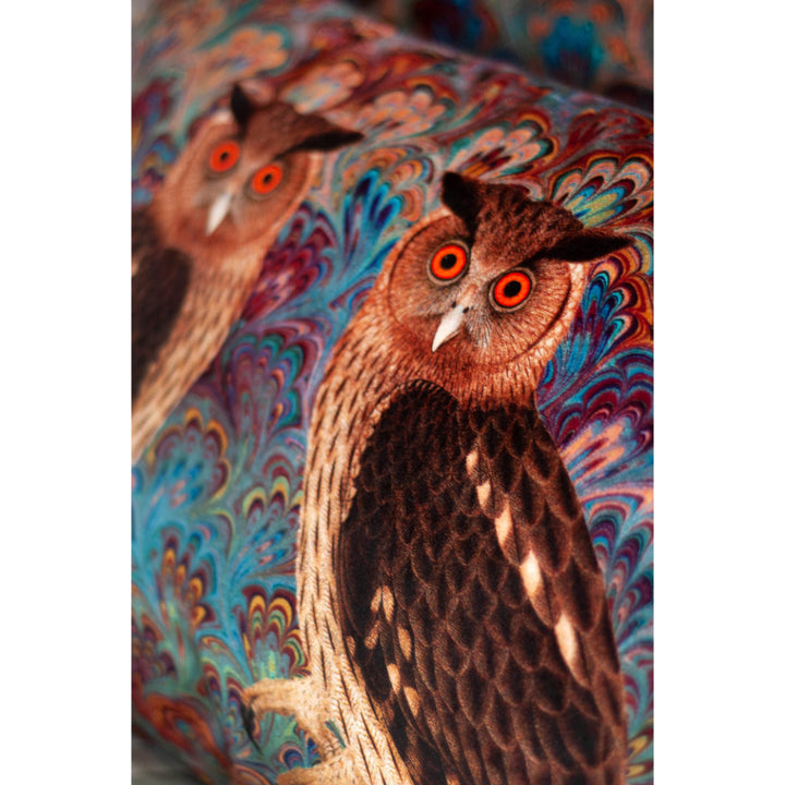Teal Twin Eagle Owl Velvet Large Oblong Cushion