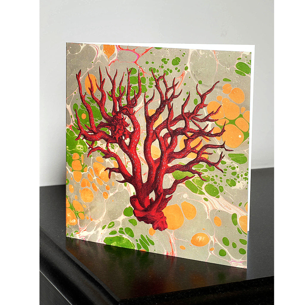 Pack of 4 Marbled Coral Greetings Cards