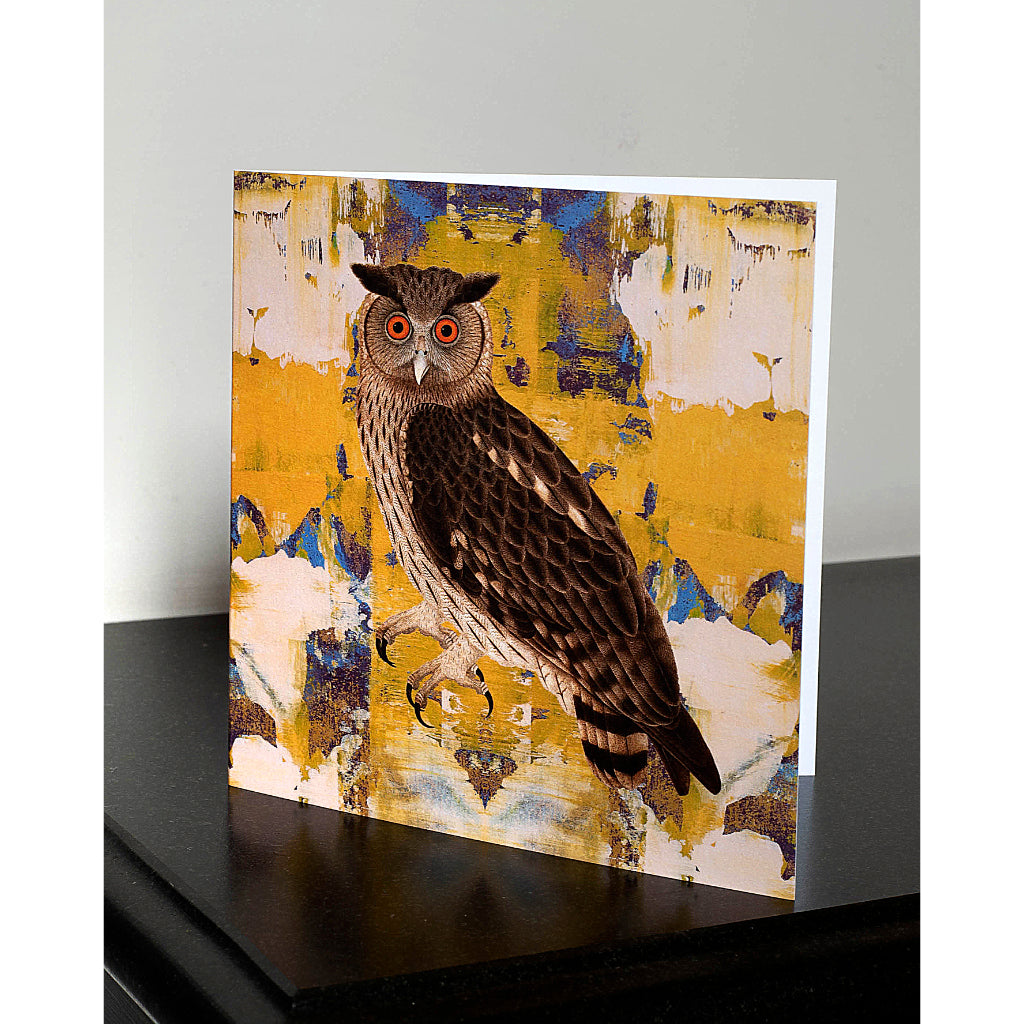 Pack of 4 Eagle Owl Greetings Cards